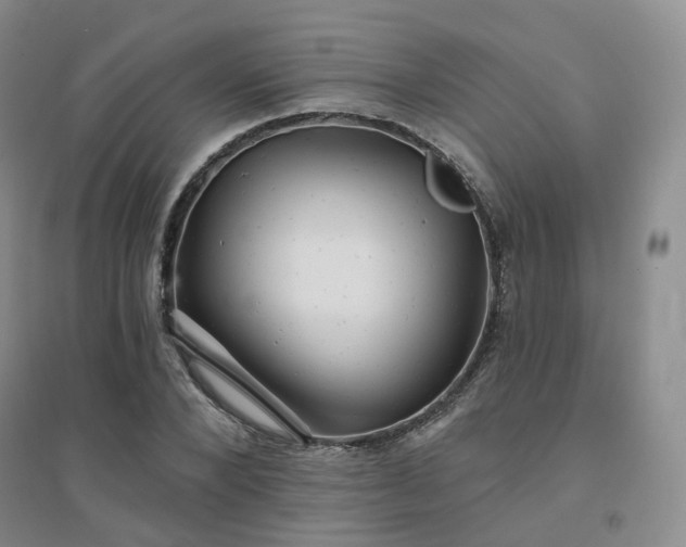 X0000094460880200711151447