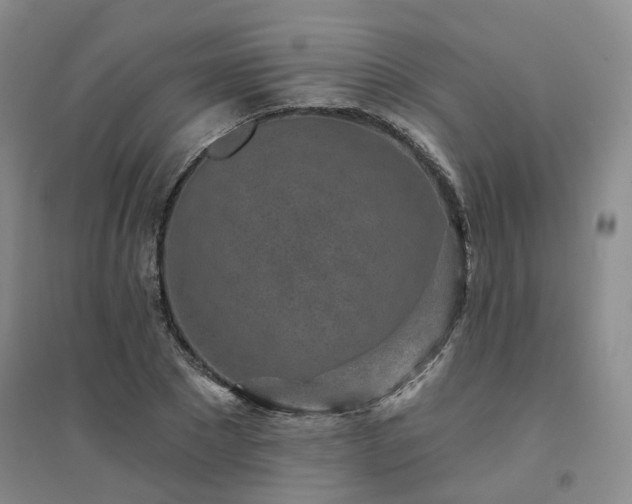 X0000094460881200711151447