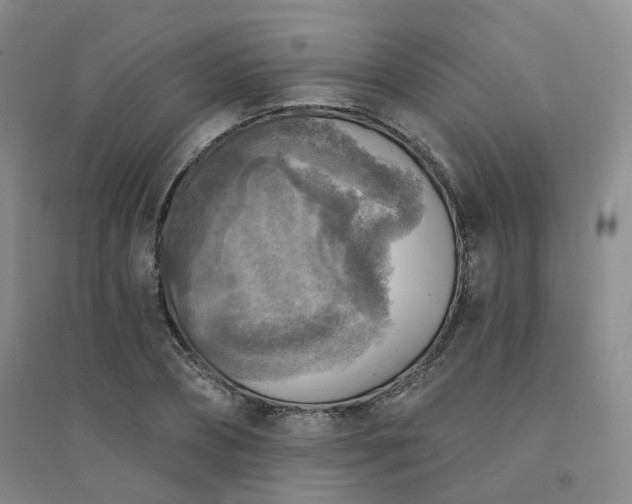X0000094460882200711151447