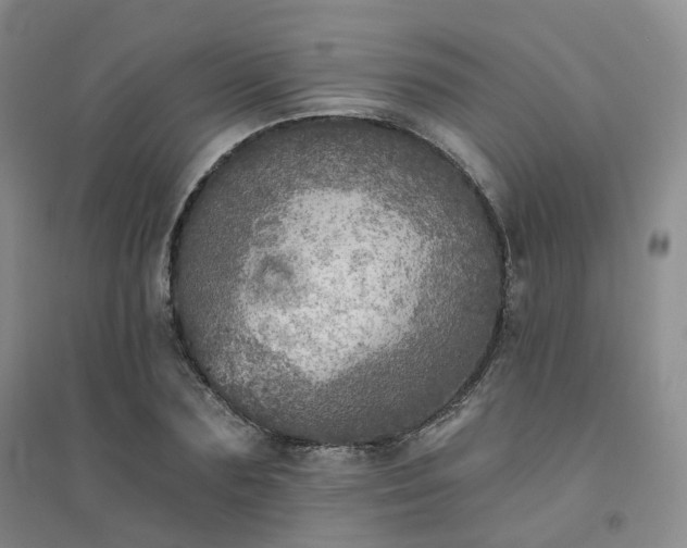 X0000094460883200711151447