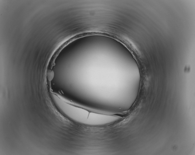 X0000094460884200711151447