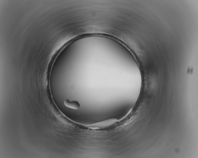 X0000094460885200711151447