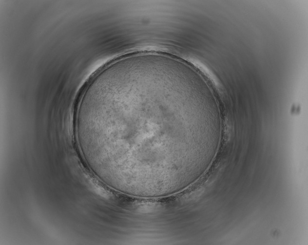 X0000094460886200711151447