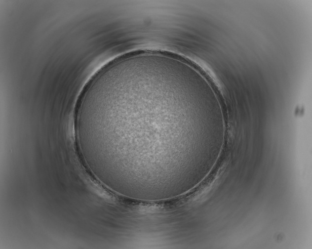 X0000094460887200711151447