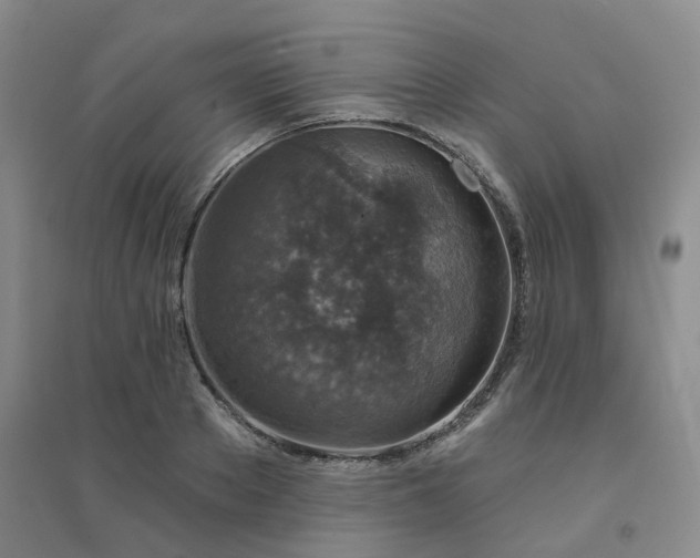 X0000094460889200711151447