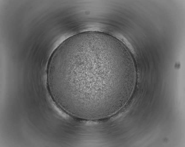X0000094460890200711151447