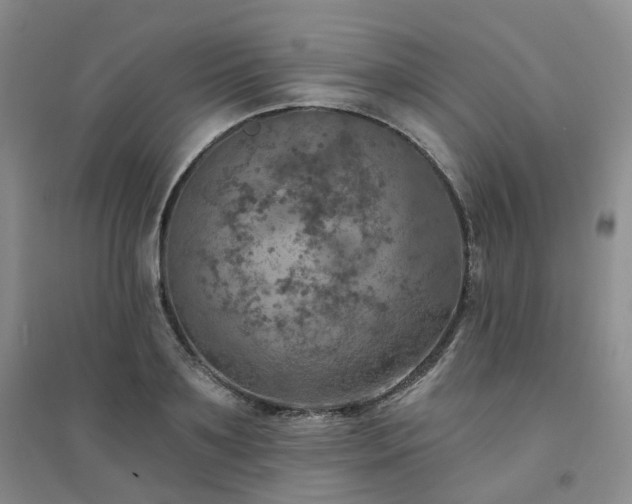 X0000094460891200711151447