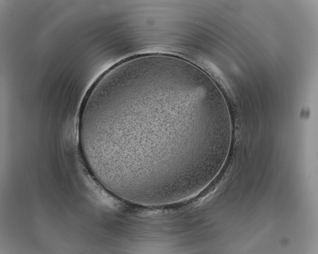 X0000094460892200711151447