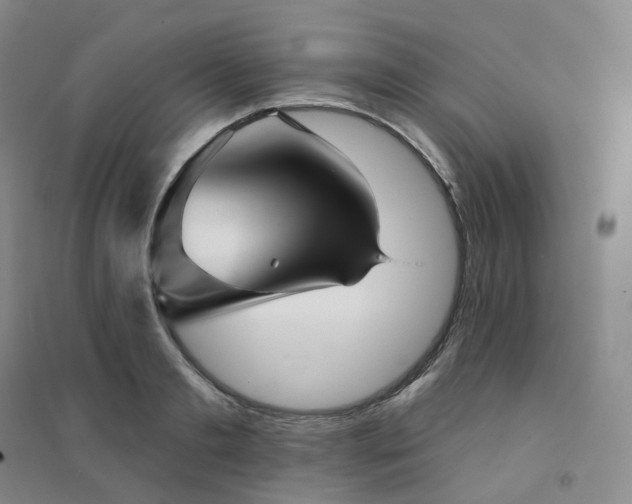 X0000094460893200711151447