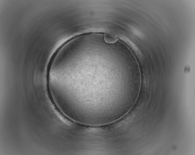 X0000094460894200711151447