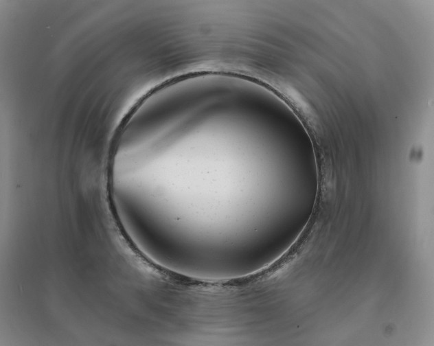 X0000094460896200711151447