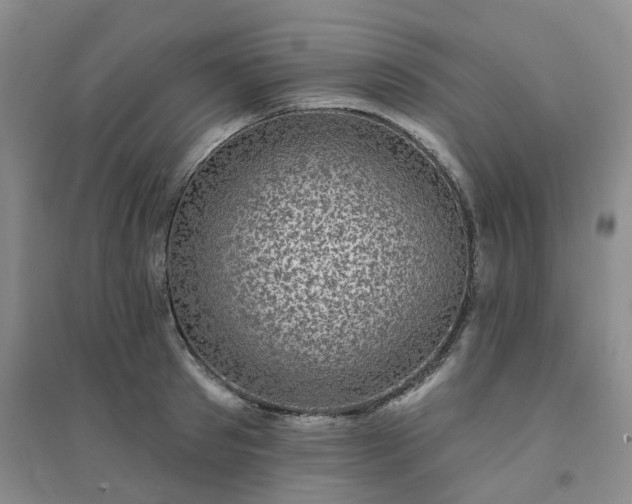 X0000094460897200711151447