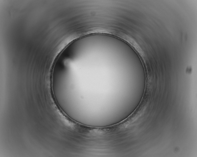 X0000094460898200711151447