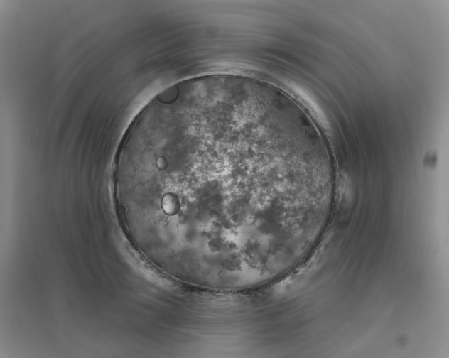 X0000094460899200711151447