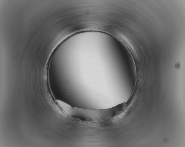 X0000094460900200711151447
