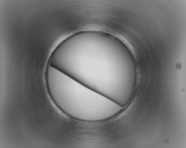 X0000094460901200711151447