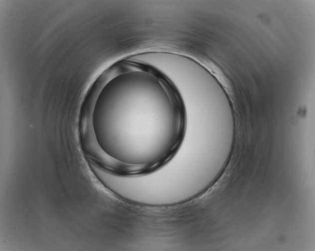 X0000094460904200711151447