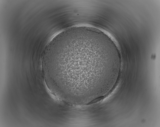 X0000094460905200711151447