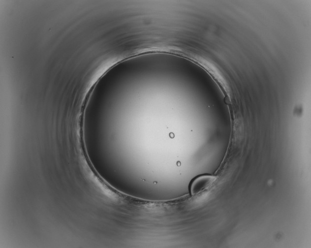 X0000094460906200711151447