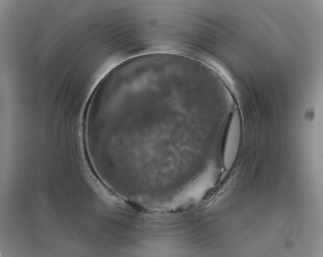 X0000094460907200711151447