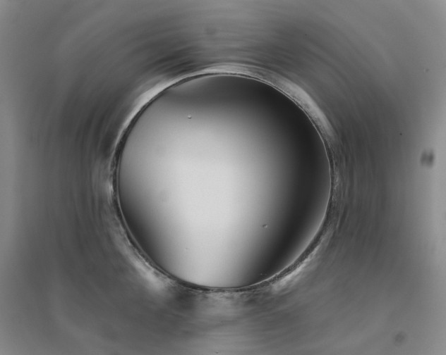 X0000094460908200711151447