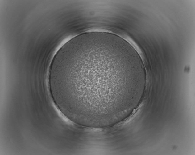 X0000094460909200711151447