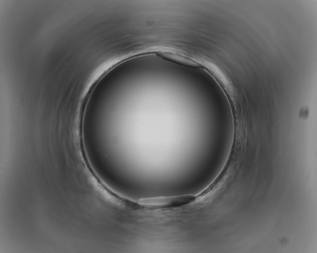 X0000094460910200711151447