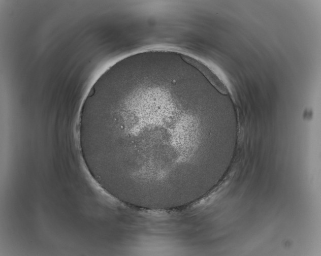 X0000094460911200711151447