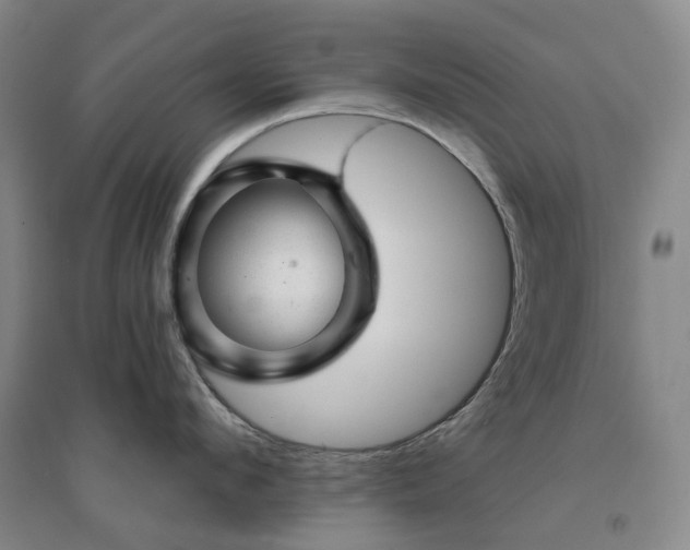 X0000094460912200711151447