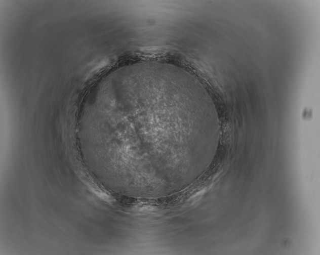 X0000094460913200711151446