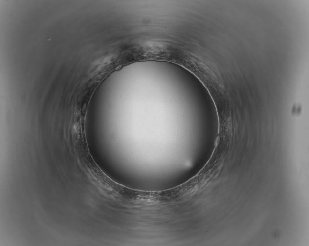 X0000094460914200711151446