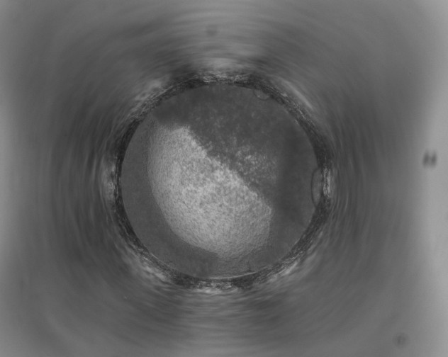 X0000094460915200711151446
