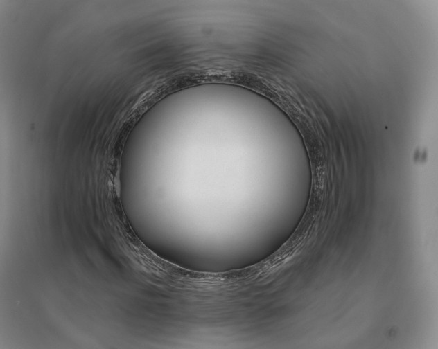X0000094460916200711151446