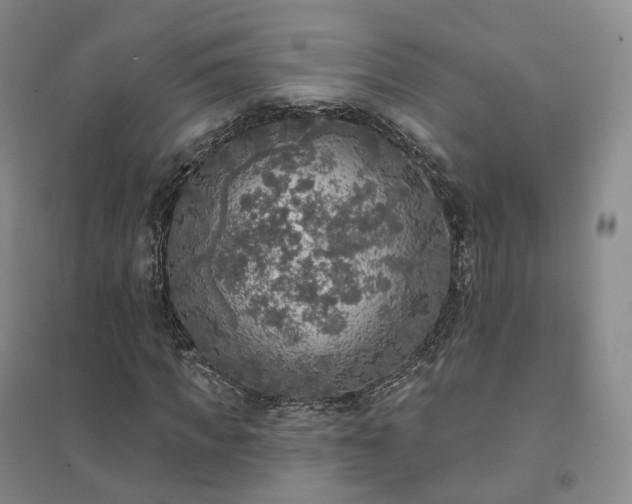 X0000094460917200711151446