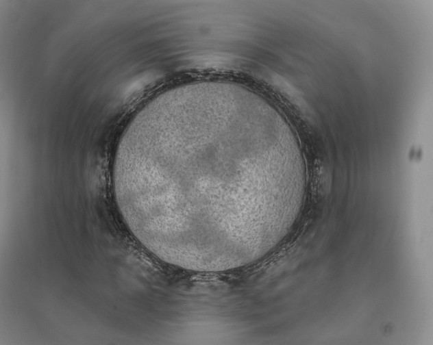 X0000094460918200711151446