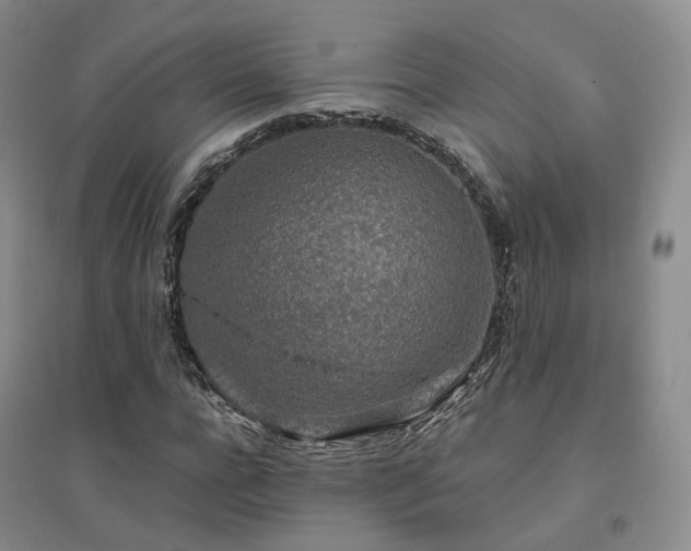 X0000094460920200711151446