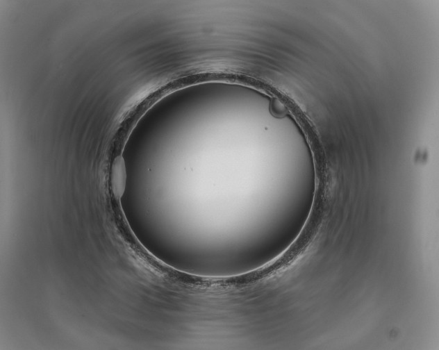 X0000094460922200711151446