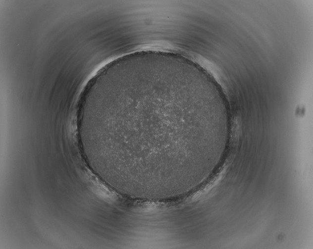X0000094460923200711151446