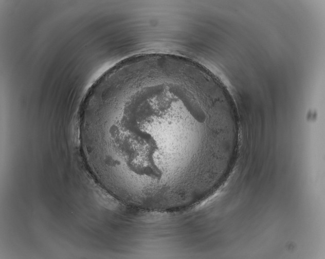 X0000094460925200711151446