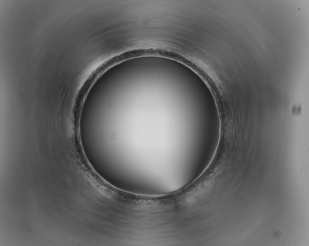 X0000094460927200711151446