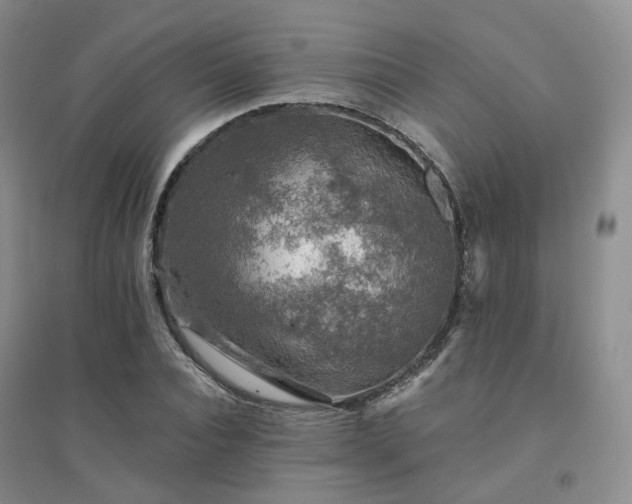 X0000094460928200711151446