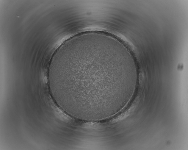 X0000094460929200711151446