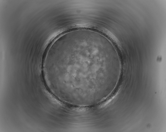 X0000094460930200711151446