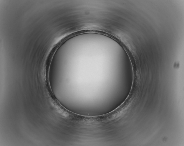 X0000094460931200711151446