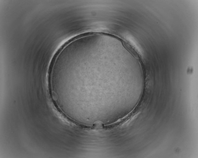 X0000094460932200711151446
