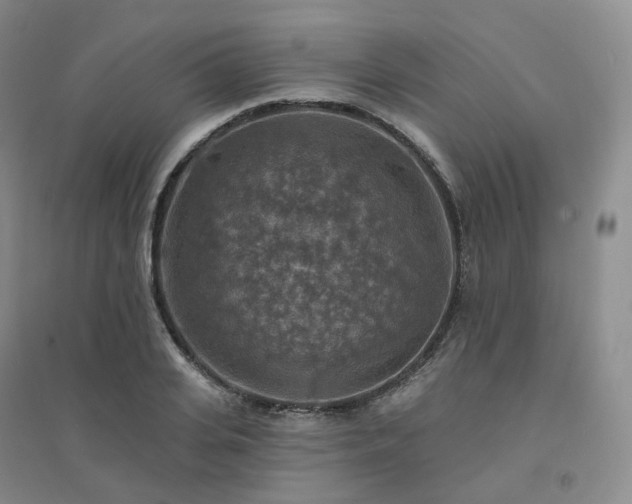 X0000094460935200711151446