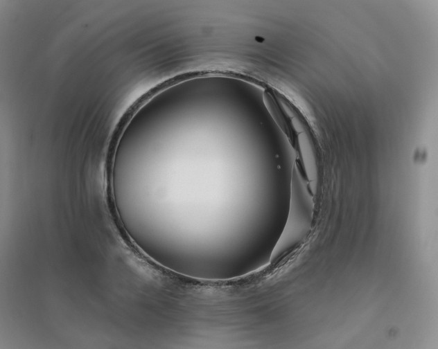 X0000094460936200711151446