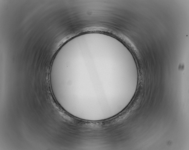 X0000094460937200711151446