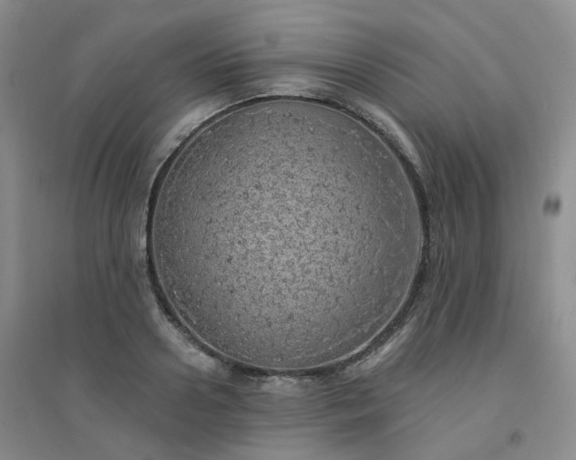 X0000094460938200711151446