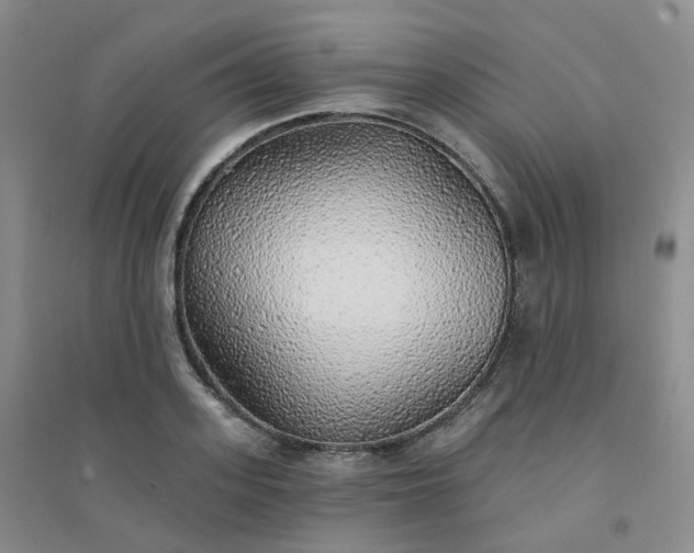 X0000094460939200711151446